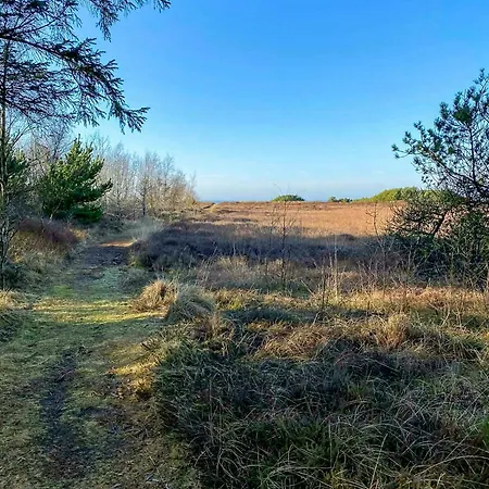 Summer House On Natural Plot Near Ringkobing Fjord Casa vacanze